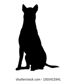 vector, on a white background, icon, black silhouette of a dog