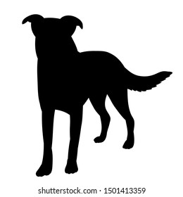 vector, on a white background, icon, black silhouette of a dog standing