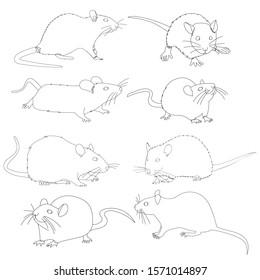 vector, on a white background, outline, sketch set of rat, mouse