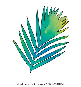 vector, on a white background palm leaf, green watercolor, one with an outline