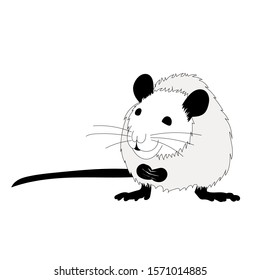 vector, on a white background, rat, mouse, black and white silhouette