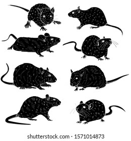 vector, on a white background, rats, mouse, rodents, silhouette, set