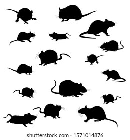 vector, on a white background, rats, mouse, rodents, silhouette, set, run