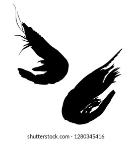 vector on white background silhouette of shrimp two