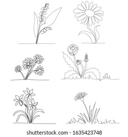 vector, on a white background, single line drawing of a flower field, set