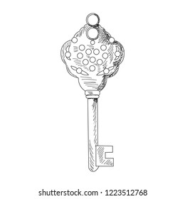 vector, on white background, sketch of a beautiful key