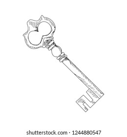 vector, on white background, sketch, lines simple key