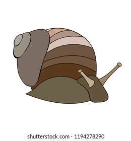 vector, on a white background, snail with a shell