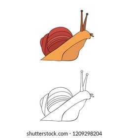 vector, on white background, snail crawling, sketch