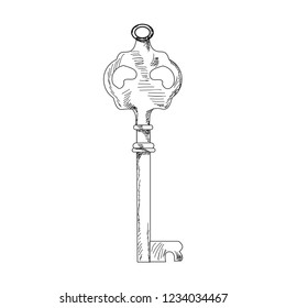 vector, on white background,lines vintage key