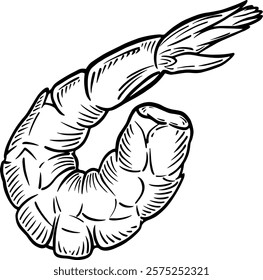 Gambas de Vector de mariscos blanco y negro arte de línea sobre un fondo blanco