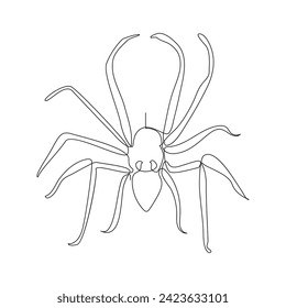 Vector in one continuous line drawing of spider illustration minimal design editable stroke