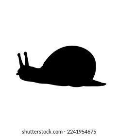 Vector one crawling snail with shell side view isolated colorless black and white outline silhouette shadow shape stencil