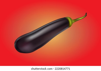vector one eggplant purple vegetable vector