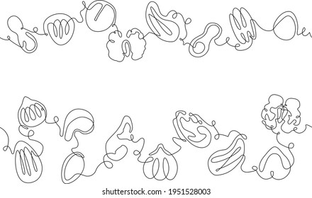 Vector One line Drawing  Seamless patterns with  Various Nuts and Seeds. Can be yused as Background, frame, template, border, backdrop, label, banner, flyer, card, cover, texture.