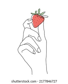 Vector one line illustration of a hand holding a strawberry. Line art.
