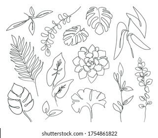 Vector One line leaves set: tropical palm, eucalyptus, monstera, succulent, house plants. Abstract botanical set of line branches and leaves. Tropical exotic plants in continuous line style.