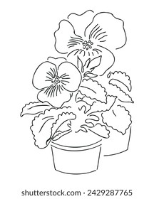 Vector one line sketch of blooming garden violets.