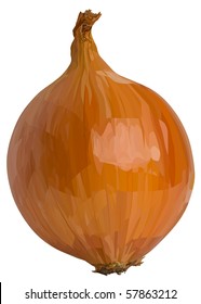 Vector onion. Filled with solid colors only.