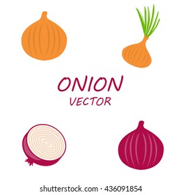 Vector Onion icons set on white background