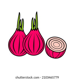 vector onion isolated on a white background, flat, cartoon style. For web and print design.