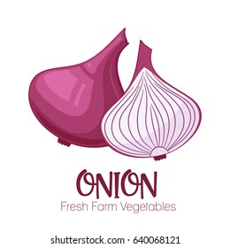 Vector onion isolated on white background.Vegetable illustration for farm market menu. Healthy food design poster. Cartoon style vector