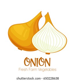 Vector onion isolated on white background.Vegetable illustration for farm market menu. Healthy food design poster. Cartoon style vector