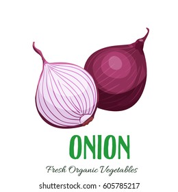 Vector onion . Vegetable illustration for farm market menu. Healthy food design