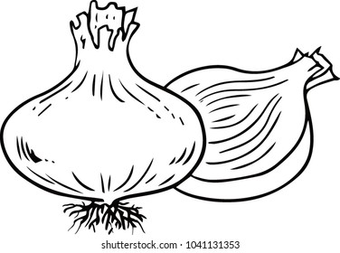 Vector Onion - Onion vegetable. Organic nutrition healthy food