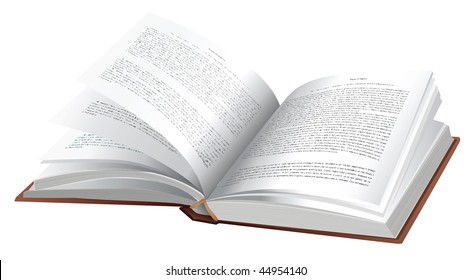 Vector open book  on white background