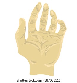 Vector open palm in pastel colors