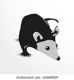 Vector opossum web flat icon illustration.