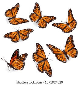 Illustration Drawing Monarch Butterfly