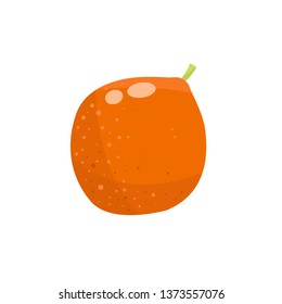 Vector orange. Cartoon fruits set. Vegan, diet food.