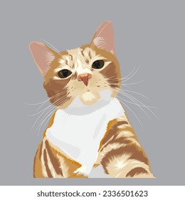 vector orange cat face expression