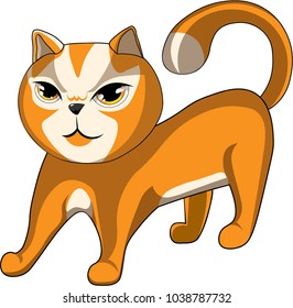

vector orange cat on white background