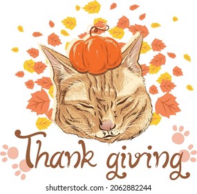 Vector Orange Cat Thanksgiving Design