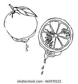 vector orange citrus juice liquid white black illustration