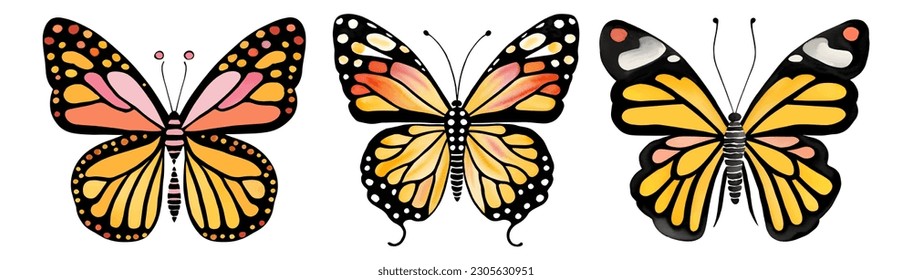 Vector orange color monarch butterflies isolated on the white background