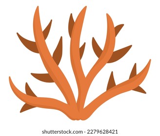 Vector orange coral icon. Under the sea illustration with cute seaweeds. Ocean plant clipart. Cartoon underwater or marine clip art for children isolated on white background
