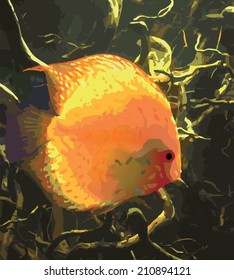 Vector orange fish under water on dark coral background 