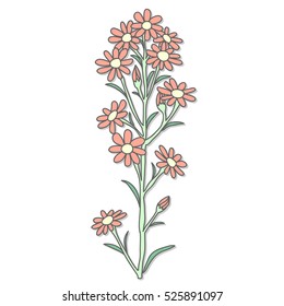 Vector orange flower doodle hand write pattern isolated on white backgrounds