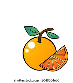 Vector of orange fruit illustration