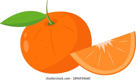 Vector orange. Fruit illustration for farm market menu. Healthy food design