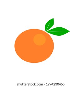 Vector orange fruit on white background