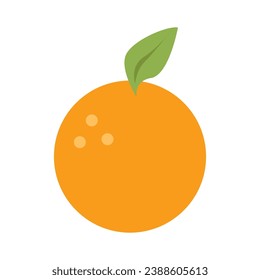 Vector orange fruit on white background.