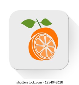 vector orange icon. Flat illustration of fresh orange. orange fruit isolated on white background. orange slice sign symbol