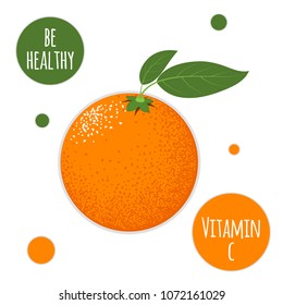 Vector Orange Isolated on a White Background. Fresh Illustration. Stylized Orange with Green Petals in Hipster Style. Delicious Citrus Fruit for Banner, Template, Illustration, Advertising, Card.