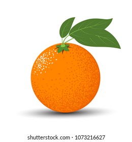 Vector Orange Isolated on a White Background. Fresh Illustration. Stylized Orange with Green Petals in Hipster Style. Delicious Citrus Fruit for Banner, Template, Illustration, Advertising, Card.