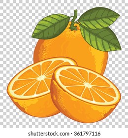 Vector orange. Juicy fruit with green leaf. Vector orange isolated in transparent background. Ripened seasoning tropical fetus illustration. Whole and two halves exotic eating citrus ingredient
